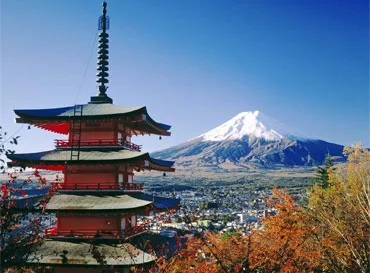 Trip Packages - 金年会