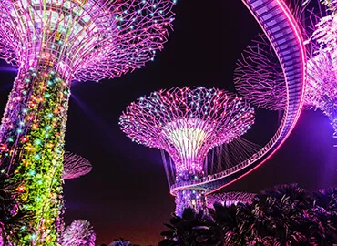 Trip Packages - 金年会